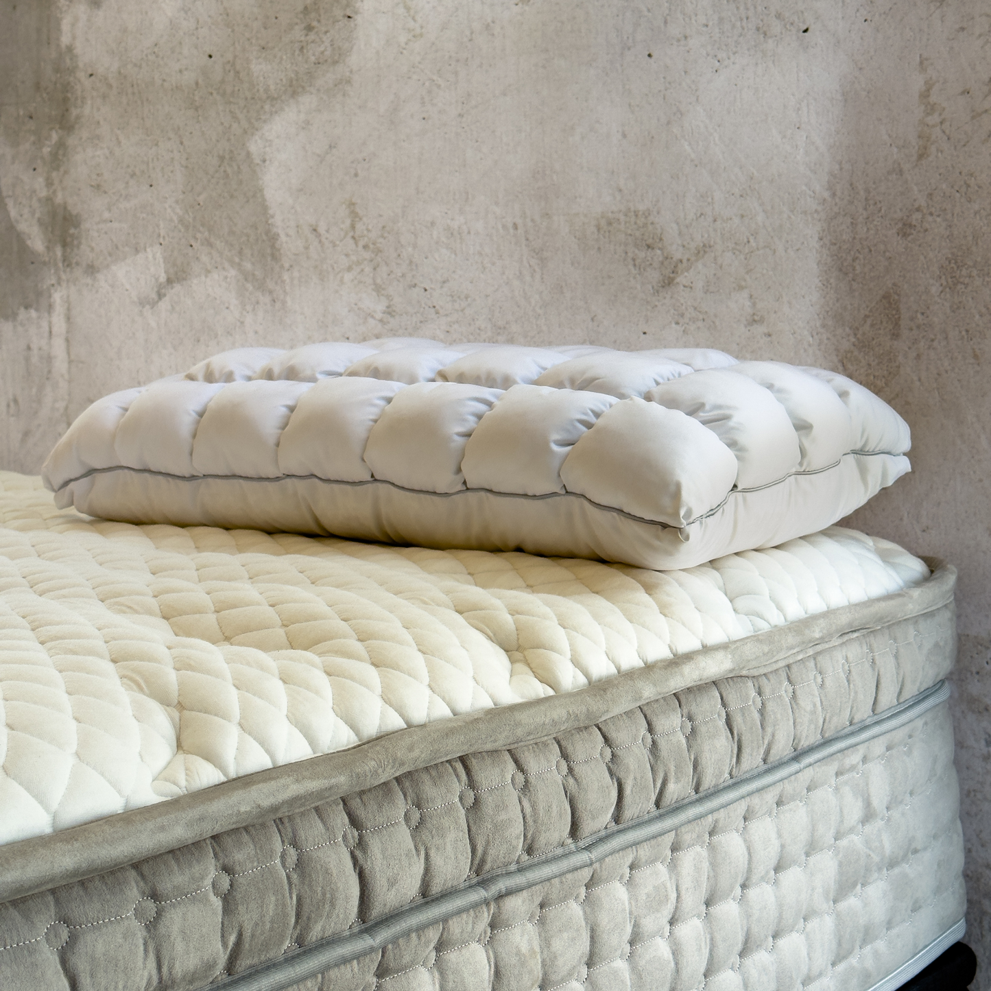 Adaptive Pillow at Dreams to Go