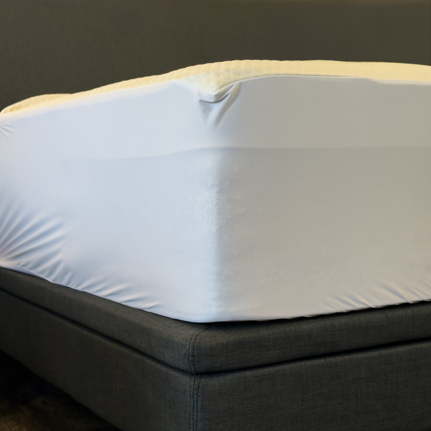 Igloo Mattress Protector at Dreams to Go