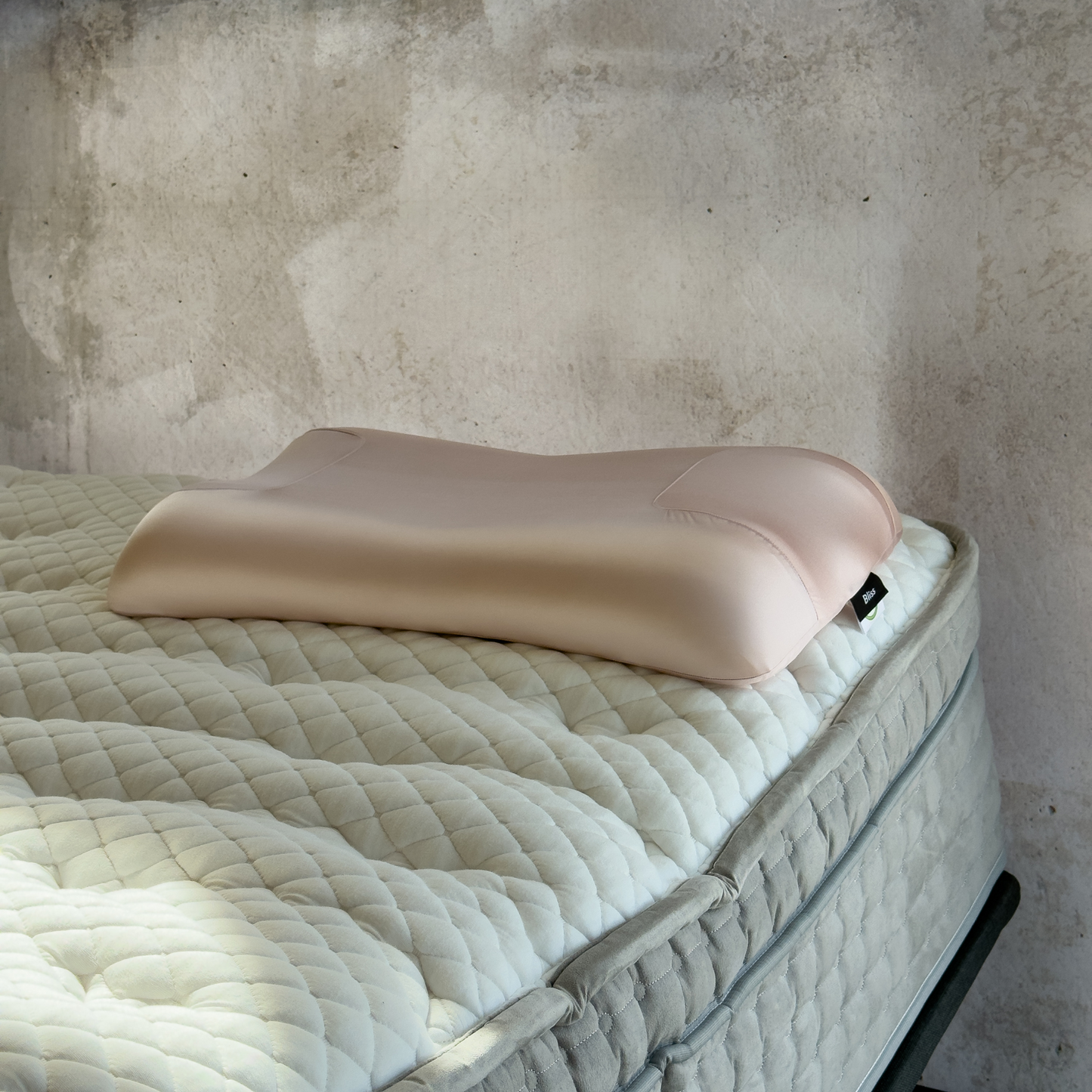 Bliss Beauty Pillow at Dreams to Go