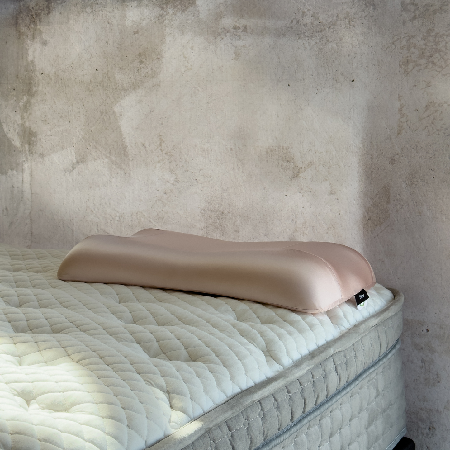 Bliss Beauty Pillow at Dreams to Go