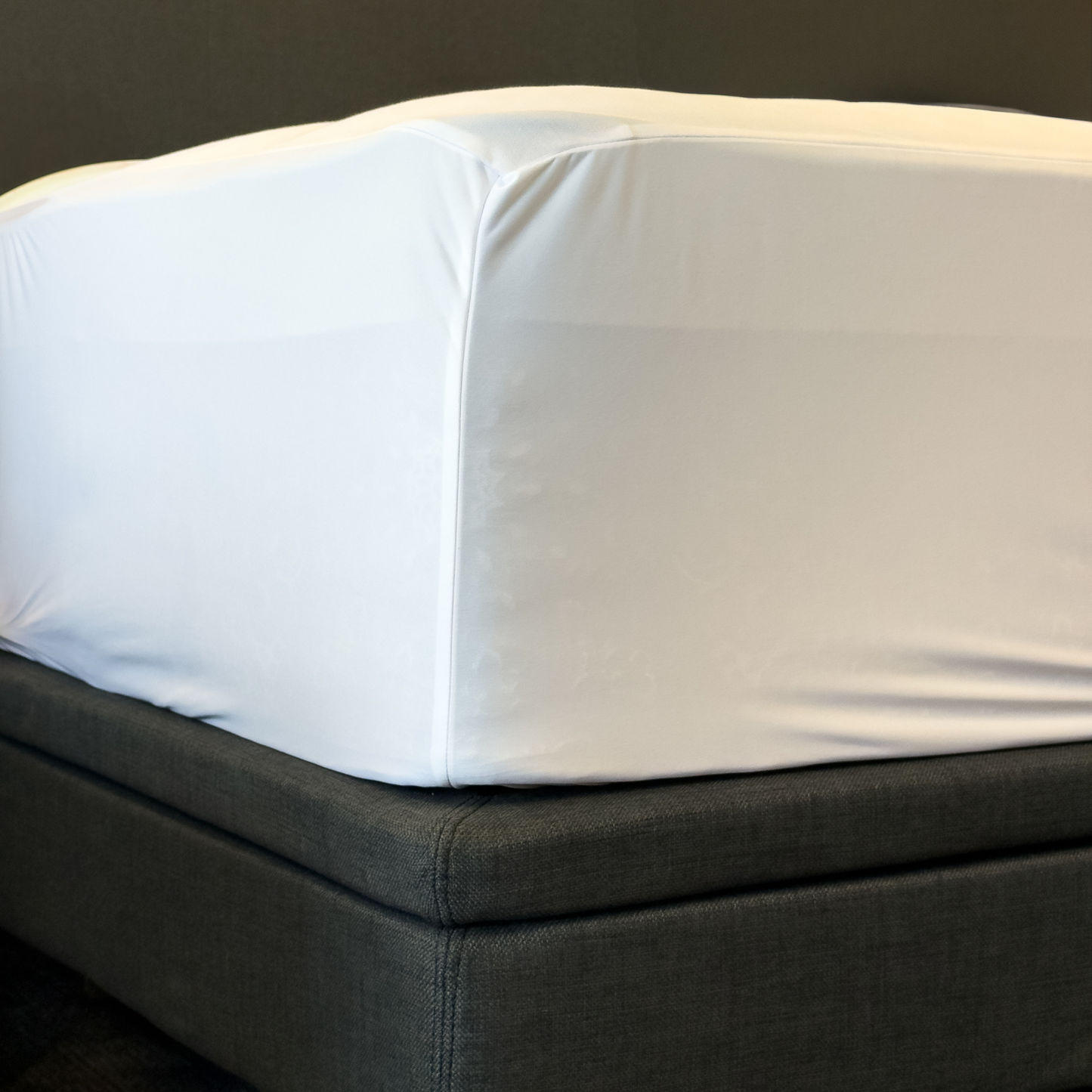 Fresh Mattress Protector at Dreams to Go