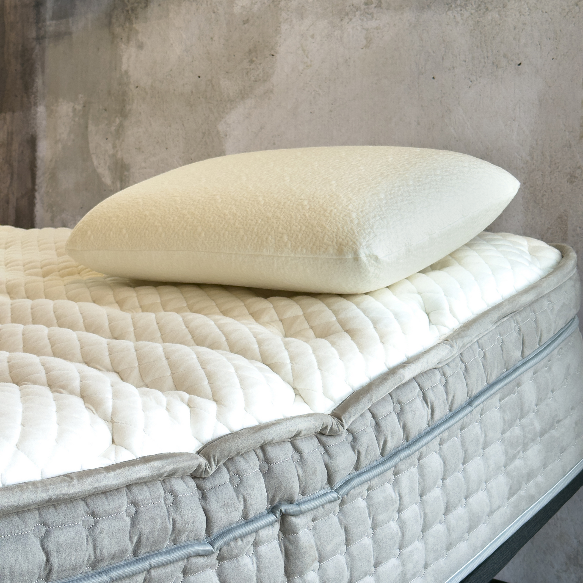 Panache Latex Pillow at Dreams to Go