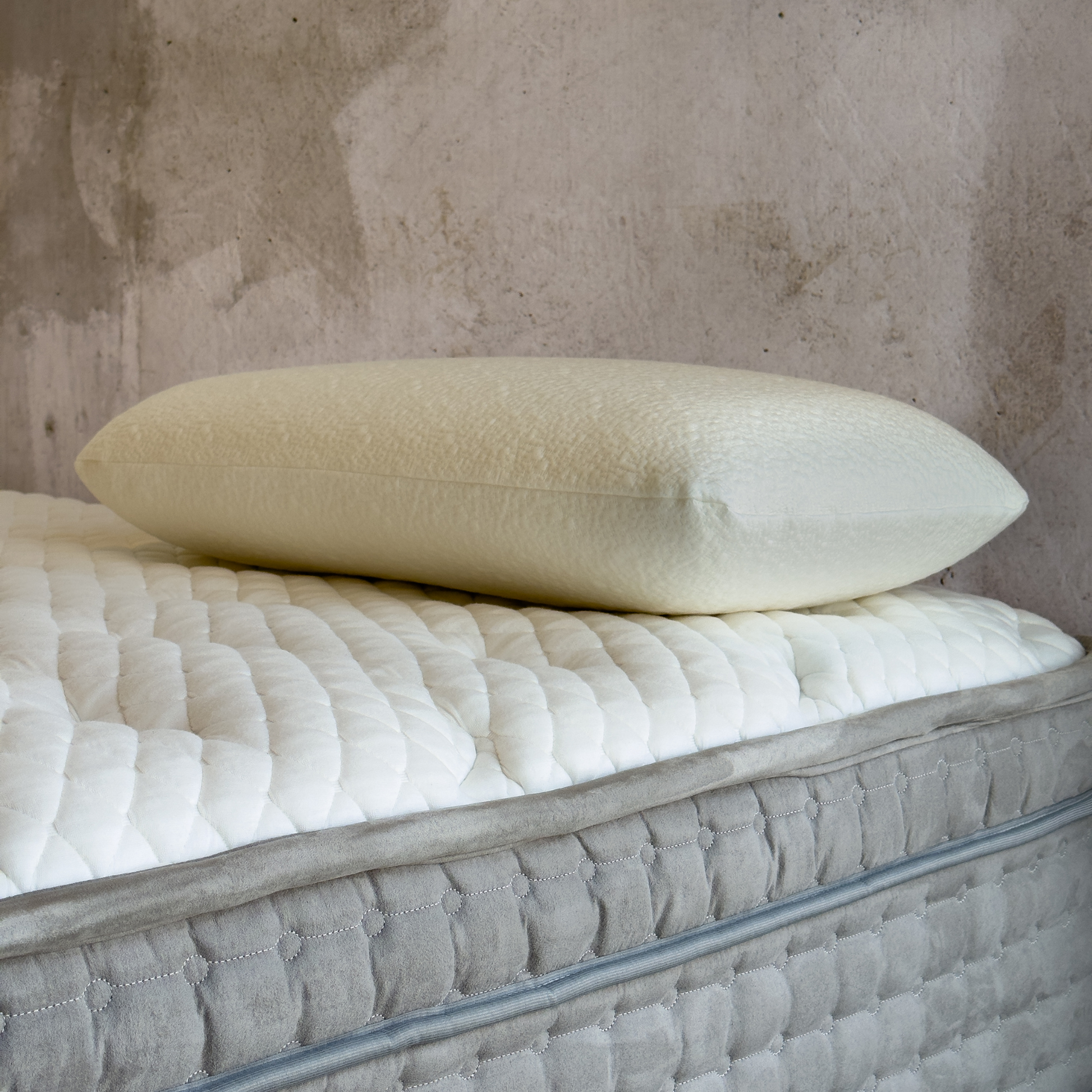 Panache Latex Pillow at Dreams to Go