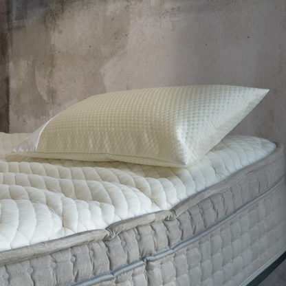 Wynd Pillow Protector at Dreams to Go